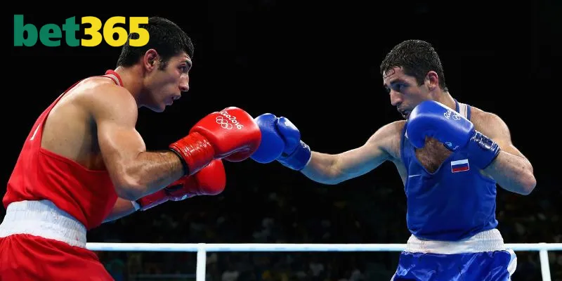 Giới thiệu Boxing Bet365