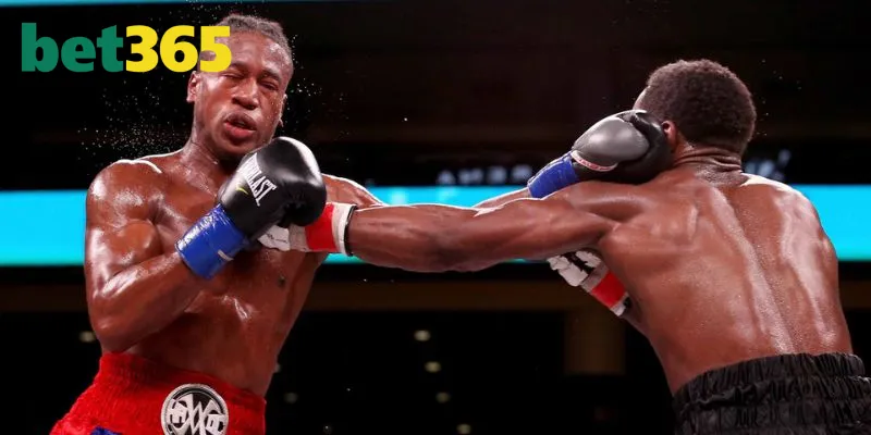 Loại kèo cược Boxing Bet365 đỉnh cao