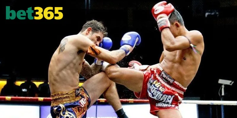 Một vài ưu điểm thương hiệu của Boxing Bet365