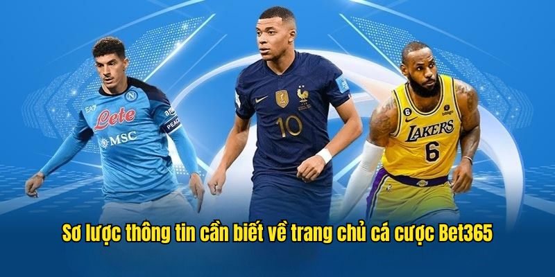 Sơ lược thông tin cần biết về trang chủ cá cược Bet365