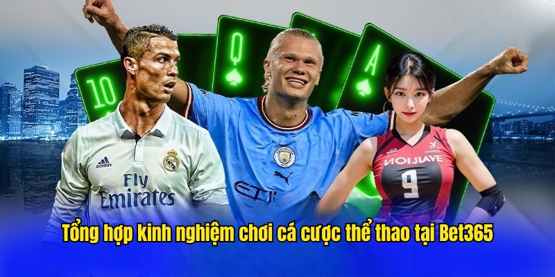 Tổng hợp kinh nghiệm chơi cá cược thể thao tại Bet365