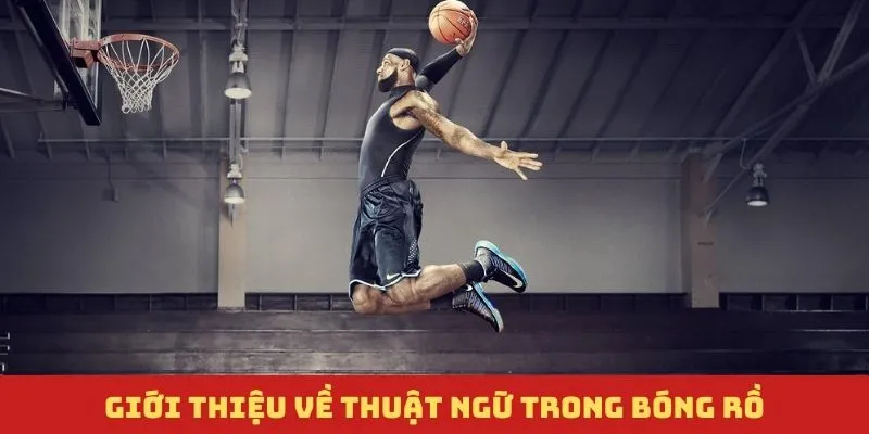 Khái niệm về thuật ngữ trong bóng rổ là gì